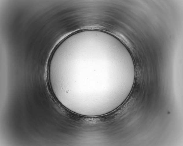 X0000093501044200711021006