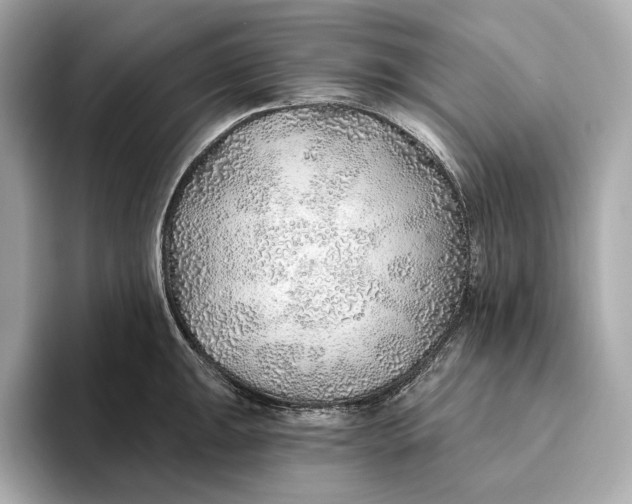 X0000093501047200711021006