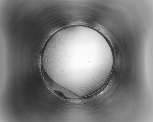 X0000093501049200711021006