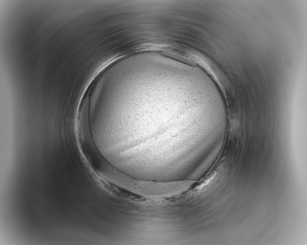 X0000093501050200711021006