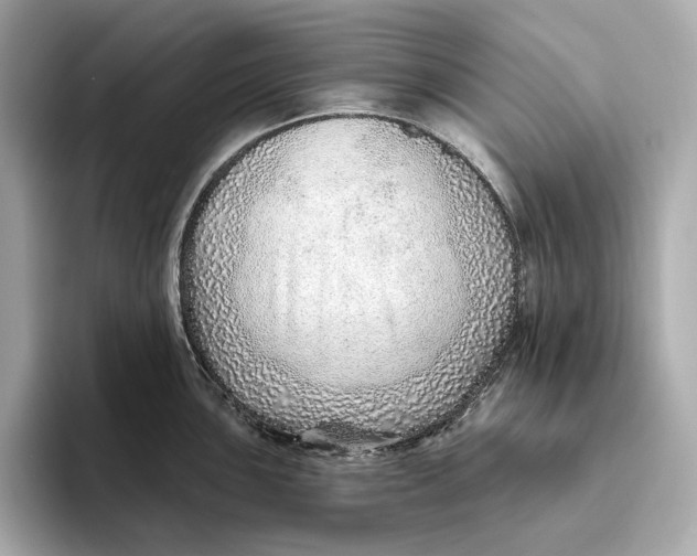 X0000093501051200711021006