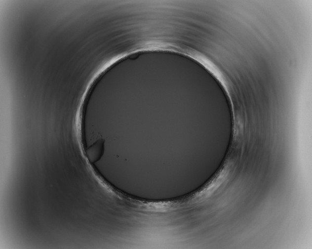X0000093501053200711021006