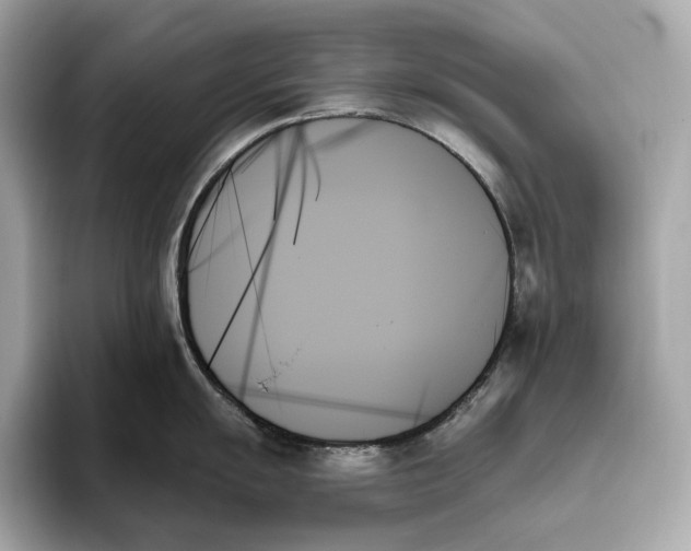 X0000093501055200711021006