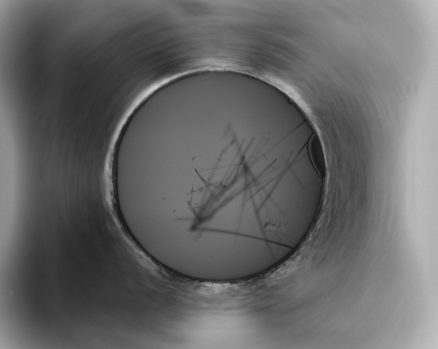 X0000093501056200711021006