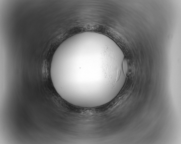 X0000093501058200711021006