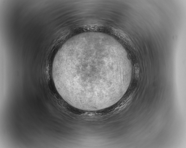 X0000093501060200711021006