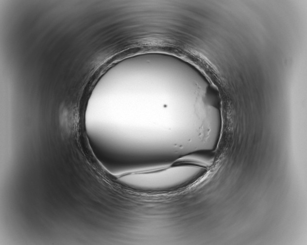 X0000093501065200711021005