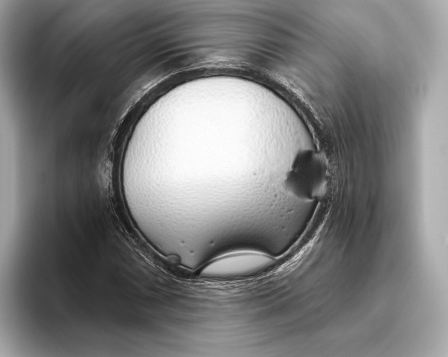 X0000093501066200711021005
