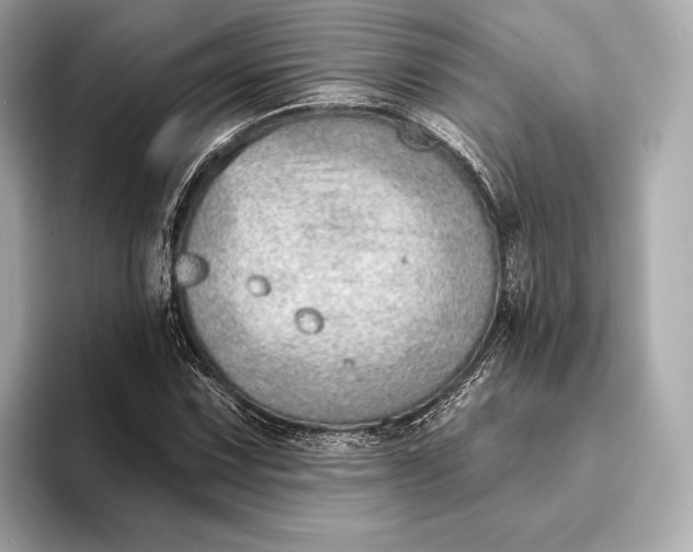 X0000093501067200711021005
