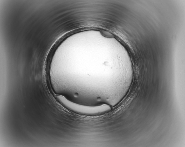 X0000093501068200711021005