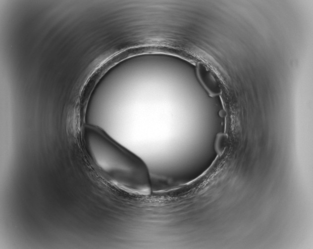 X0000093501069200711021005