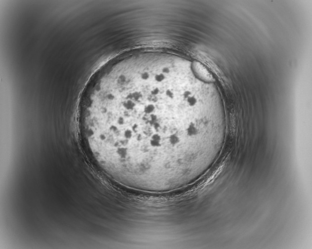 X0000093501071200711021005