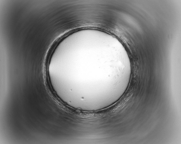 X0000093501072200711021005