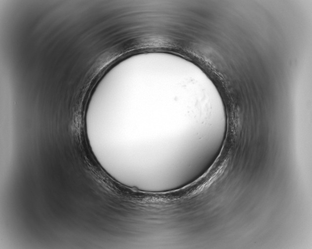 X0000093501073200711021005
