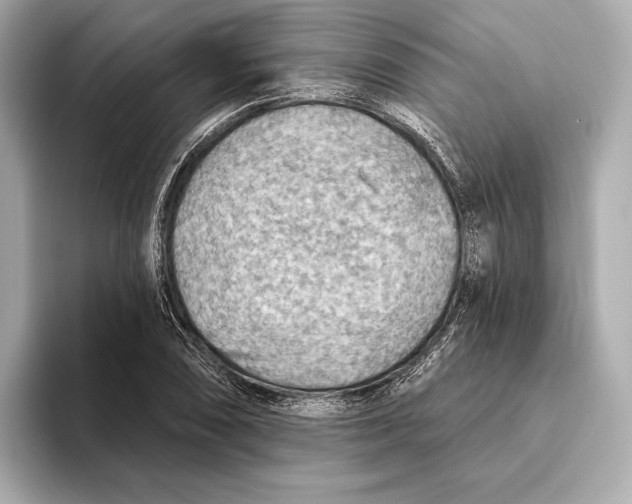 X0000093501074200711021005