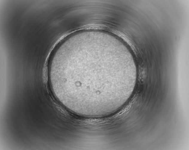 X0000093501075200711021005