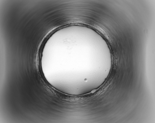 X0000093501076200711021005