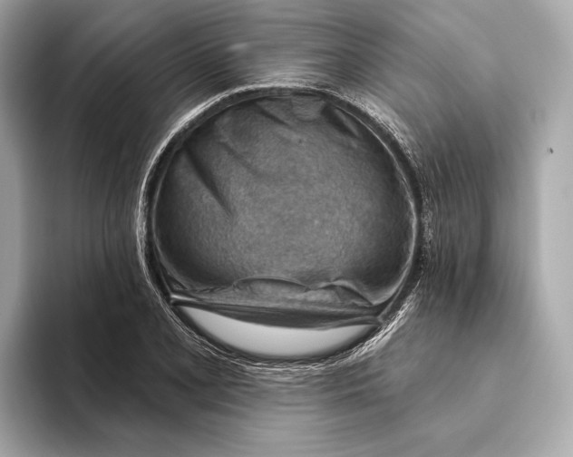 X0000093501077200711021005