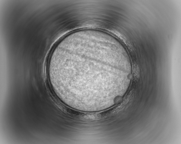 X0000093501078200711021005