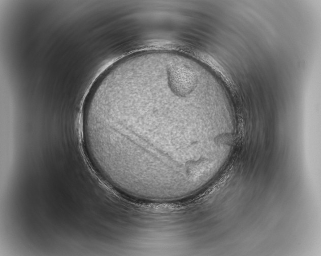 X0000093501079200711021005