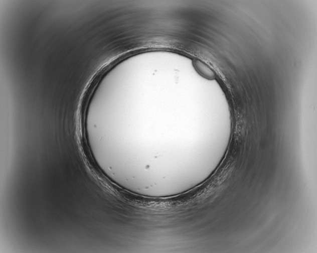 X0000093501080200711021005