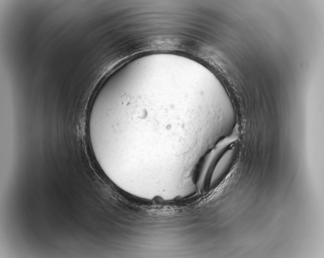 X0000093501081200711021005