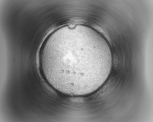 X0000093501083200711021005