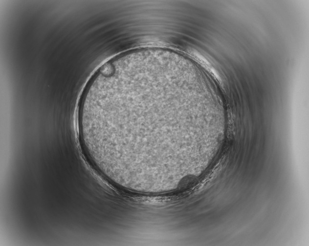X0000093501084200711021005