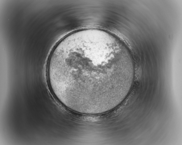 X0000093501086200711021005