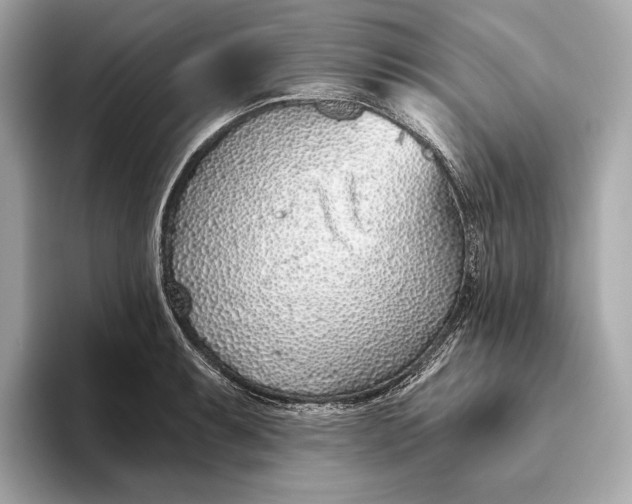 X0000093501087200711021005