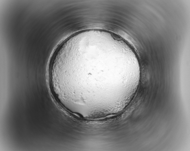 X0000093501088200711021005