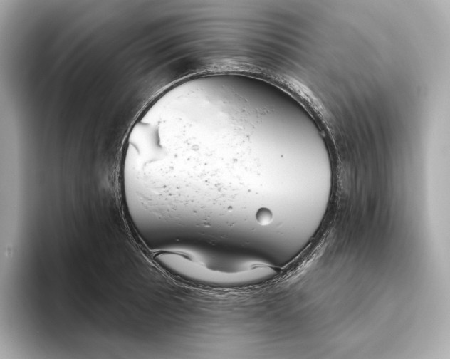 X0000093501089200711021005