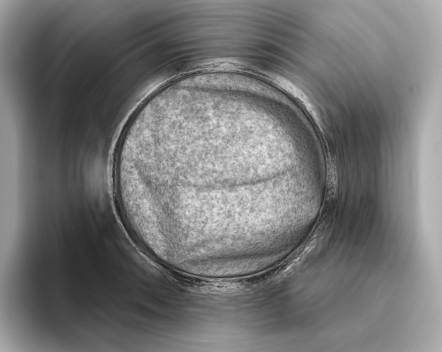 X0000093501090200711021005