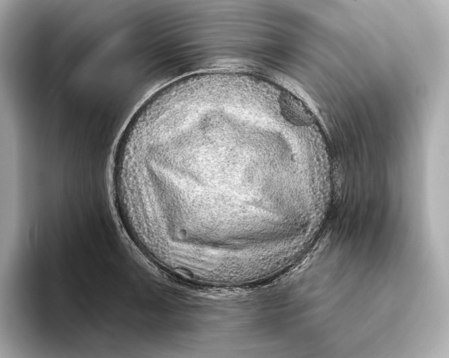 X0000093501091200711021005