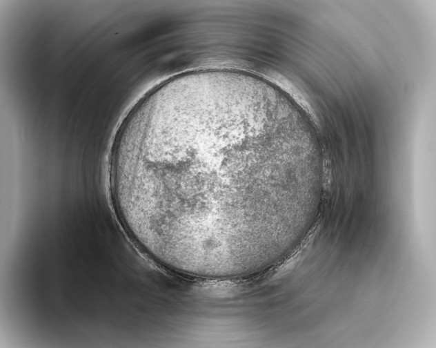 X0000093501094200711021005