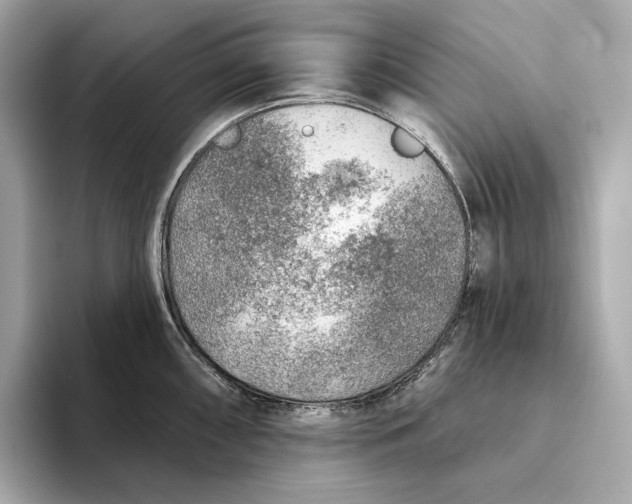 X0000093501098200711021005