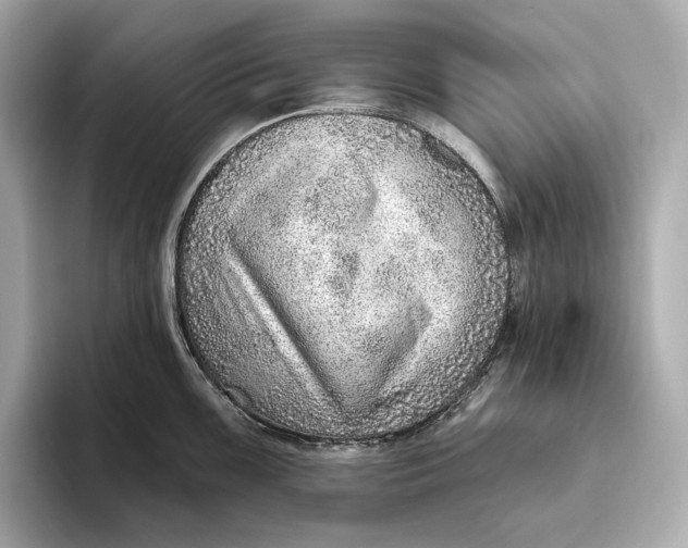 X0000093501099200711021005