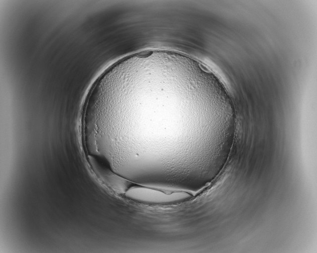 X0000093501100200711021005