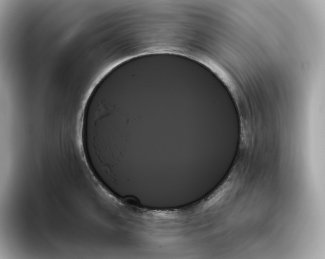 X0000093501102200711021005