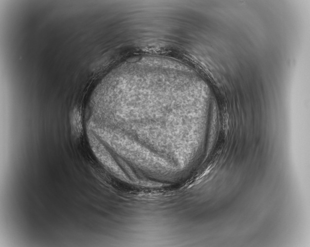 X0000093501106200711021004