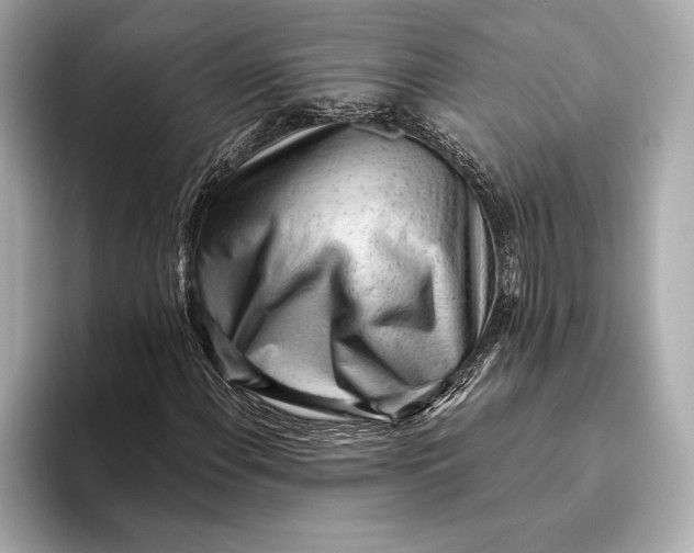 X0000093501108200711021005