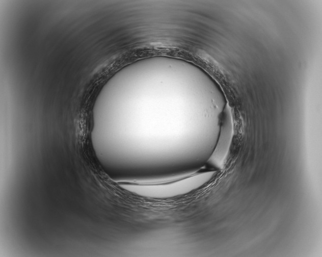 X0000093501110200711021005