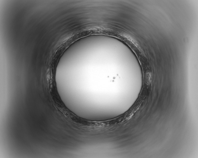 X0000093501111200711021005