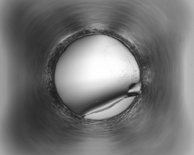 X0000093501112200711021005