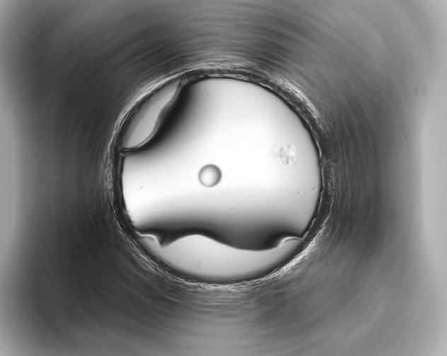 X0000093501114200711021005