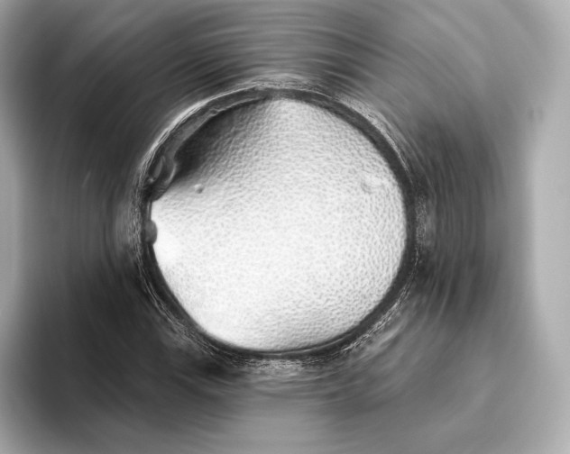 X0000093501115200711021005