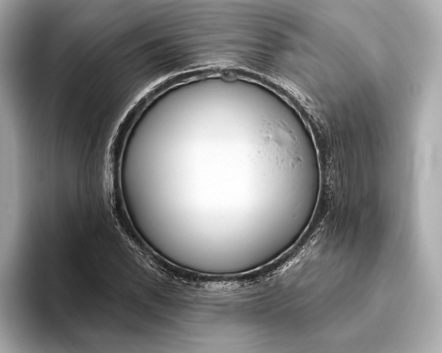 X0000093501118200711021005