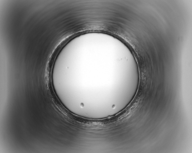 X0000093501119200711021005