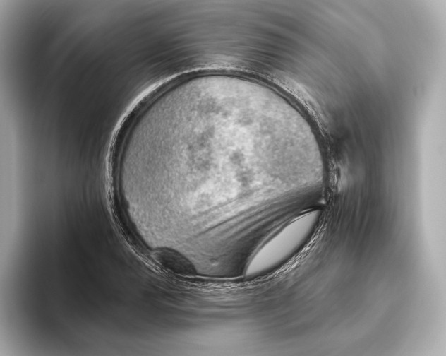 X0000093501120200711021005