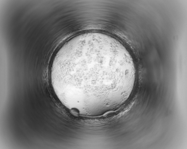 X0000093501121200711021005